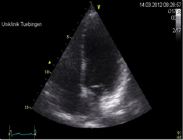 Figure 3