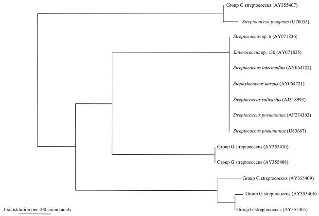 FIG. 1.