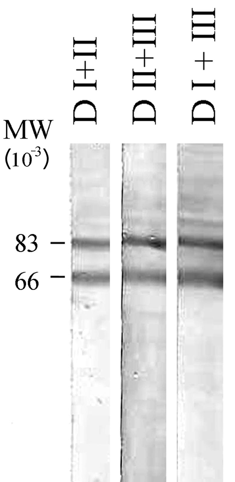 FIG. 5.