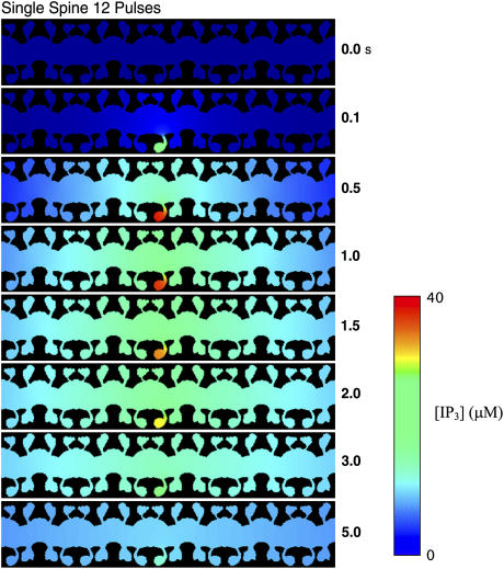 FIGURE 13