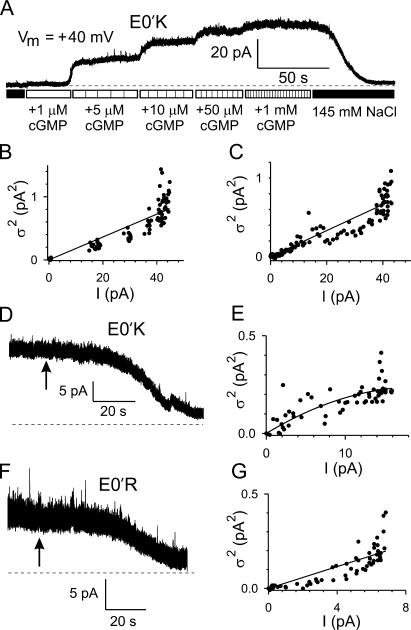 Figure 10.