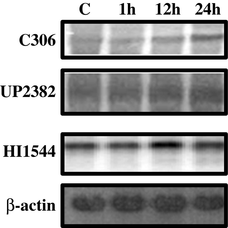 Fig. 10