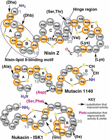 Fig. 6