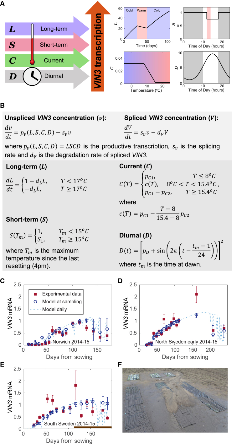 Figure 3