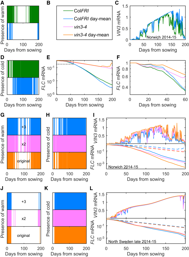 Figure 6