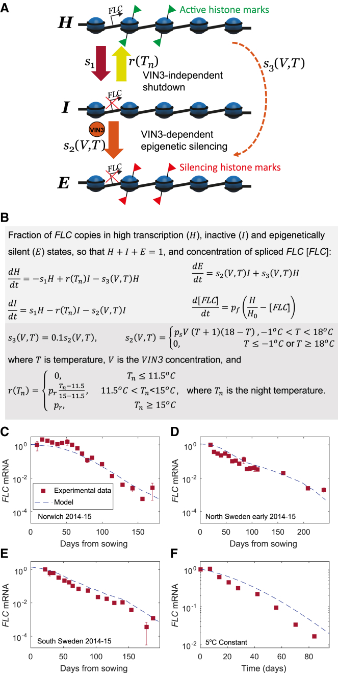 Figure 4