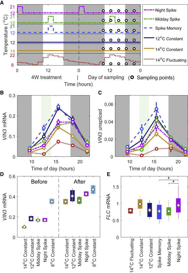 Figure 2