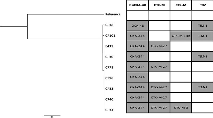 FIG 1