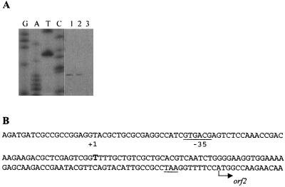 FIG. 5