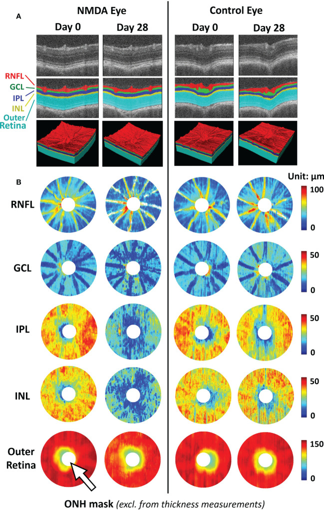 Figure 2