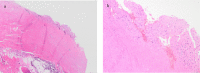 Figure 4. a, b