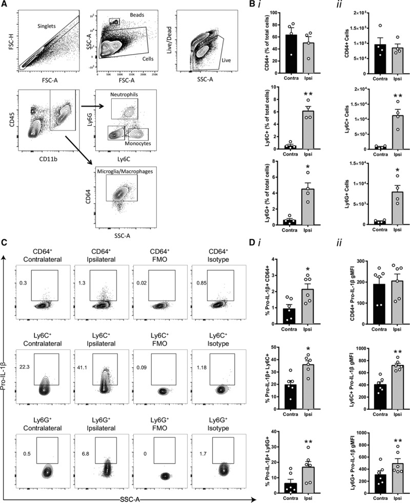 Figure 2.