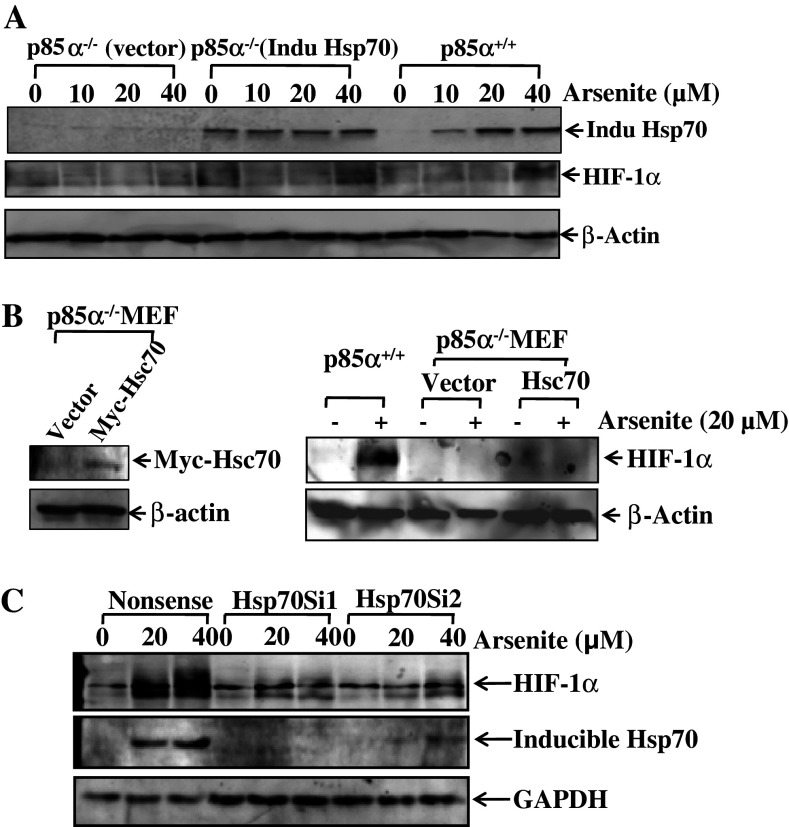 Fig. 7