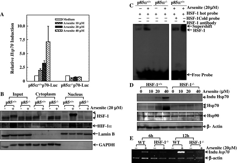 Fig. 6