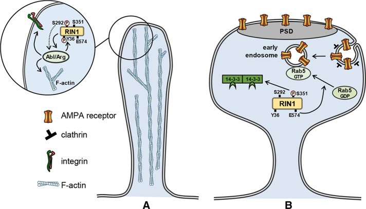 FIGURE 7: