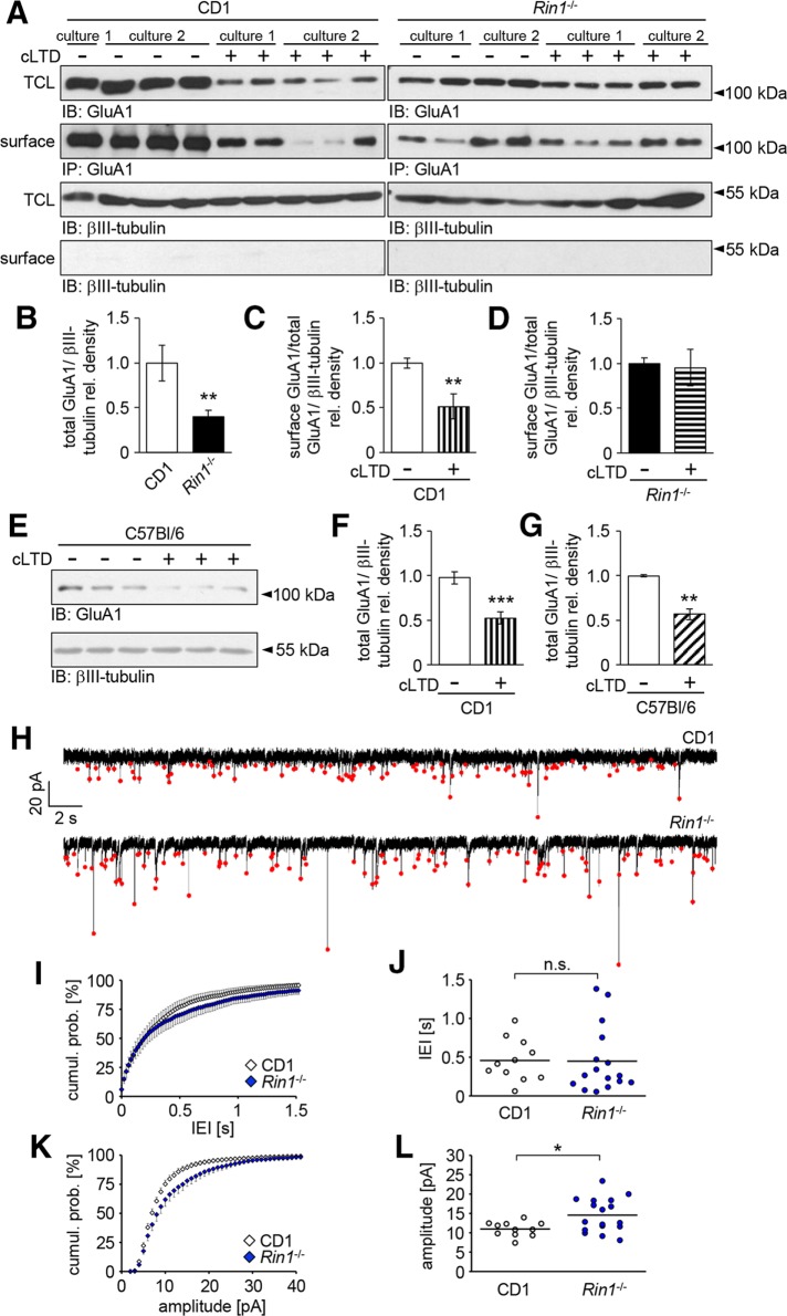 FIGURE 5: