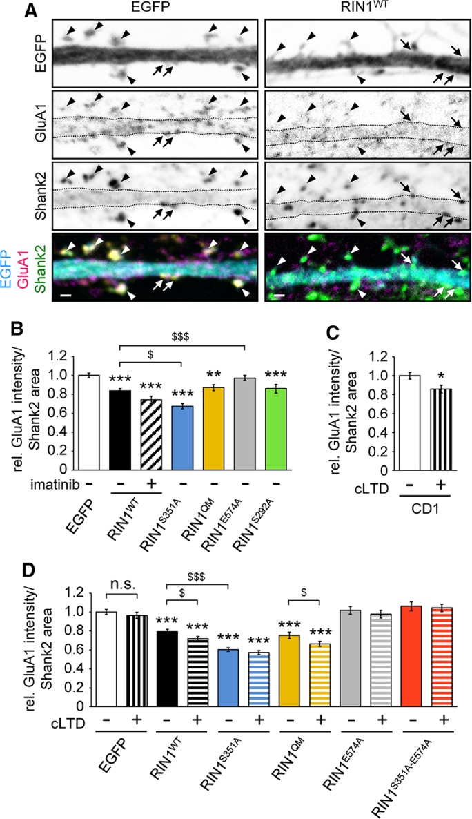 FIGURE 6: