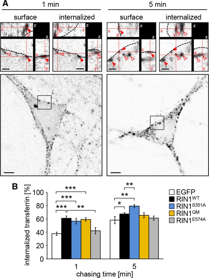 FIGURE 4: