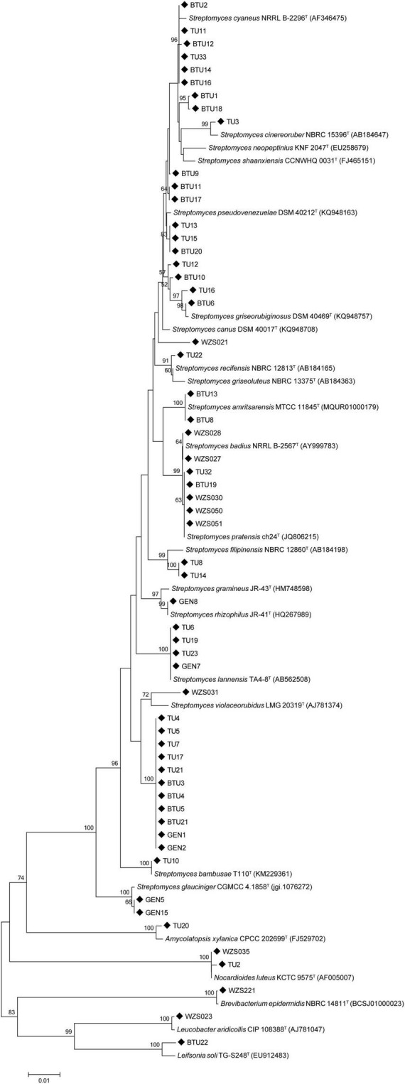 FIGURE 1