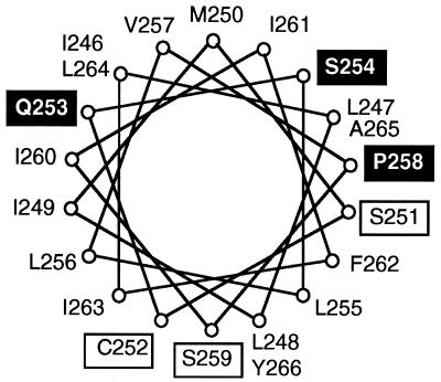 FIG. 9