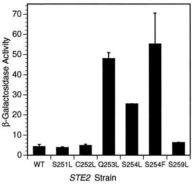 FIG. 6