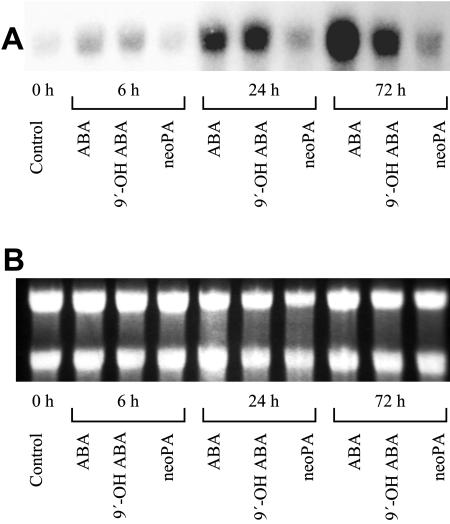 Figure 5.