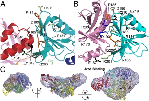 Fig. 2.