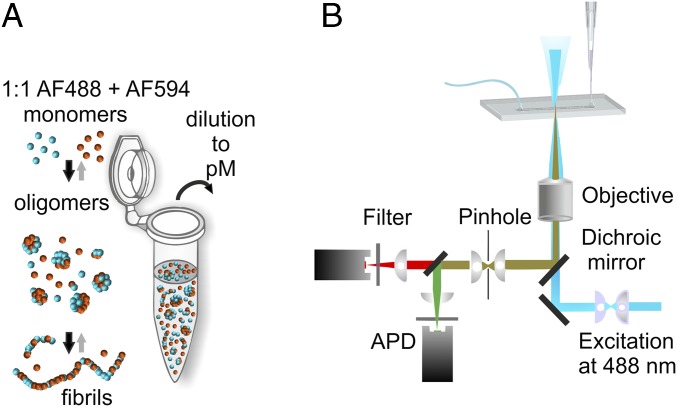 Fig. 1.