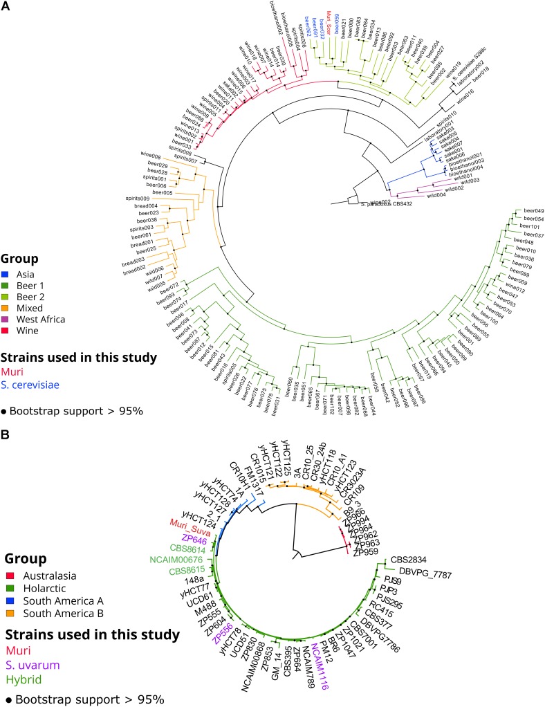 FIGURE 2