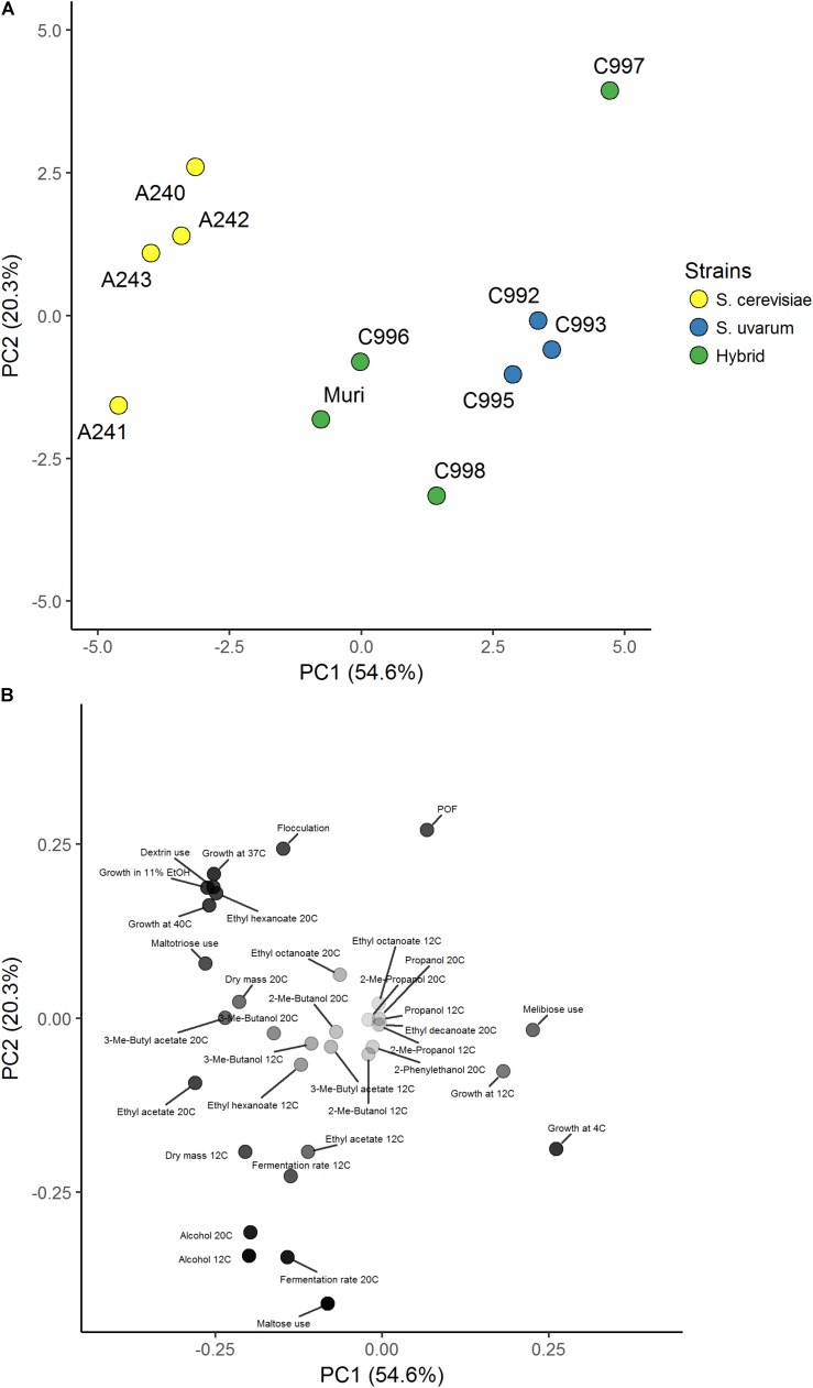 FIGURE 4