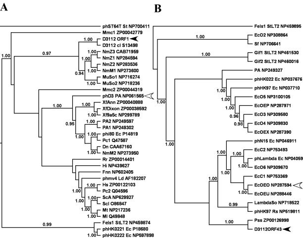 FIG. 3.