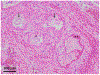 Fig. 2 ∣