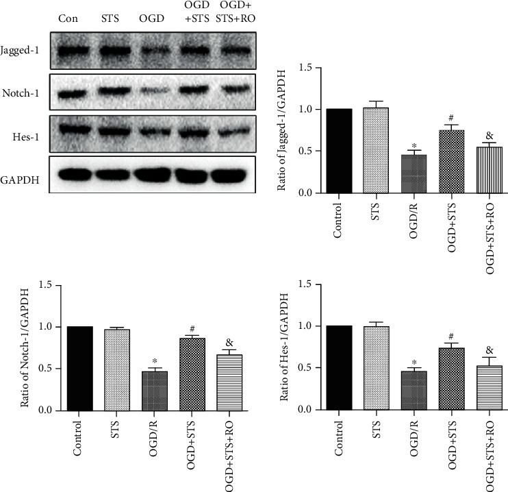 Figure 6