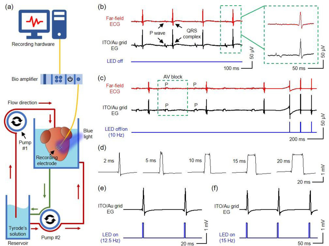 Figure 5.