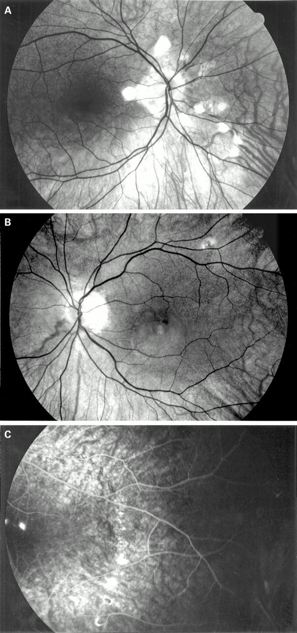 Figure 1  