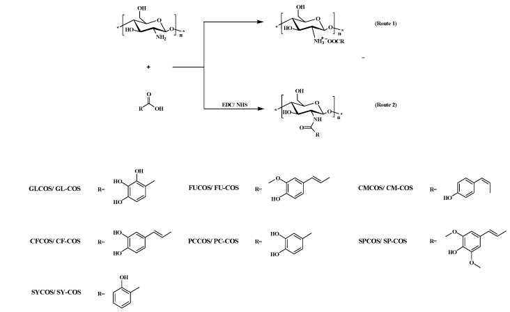 Scheme 1