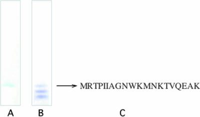 FIG. 10.