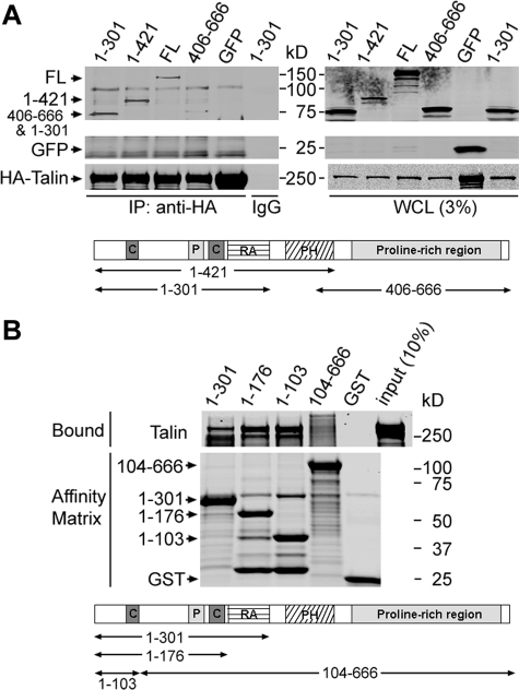 FIGURE 1.