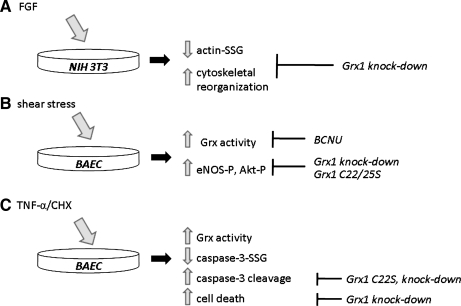 FIG. 9.