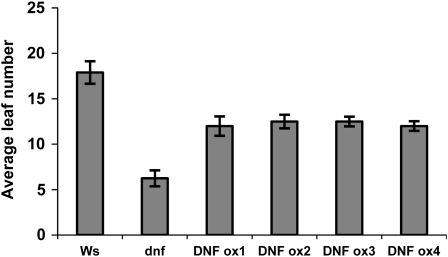 Figure 5.