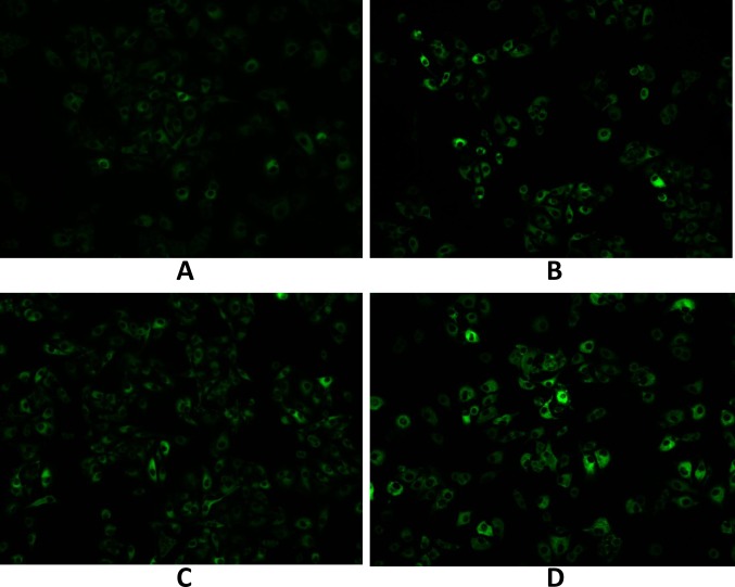 Fig 6