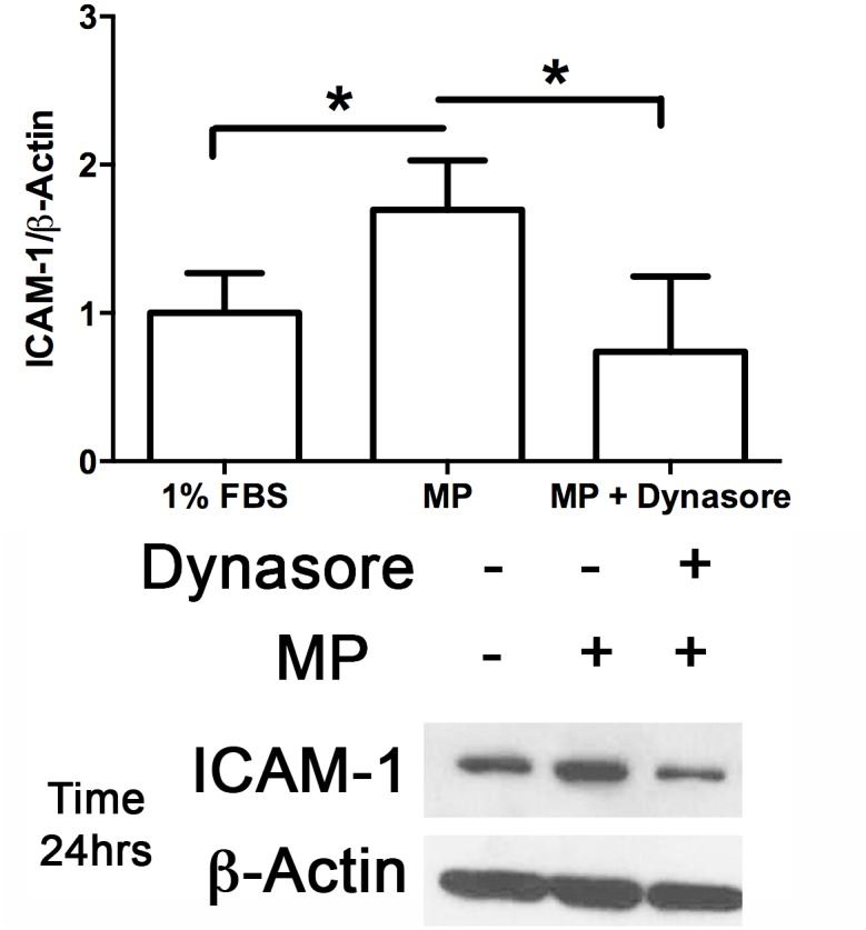 Fig 8