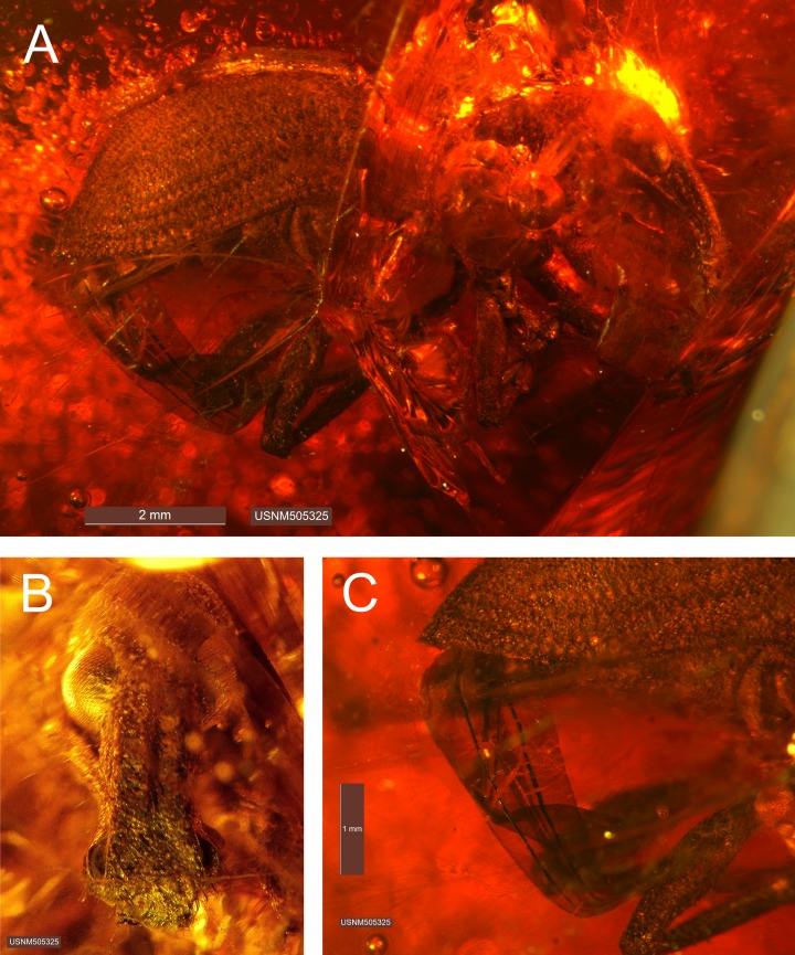 Figure 3.