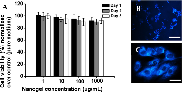 Fig. 4