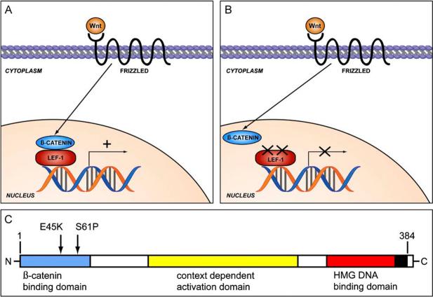 Figure 14