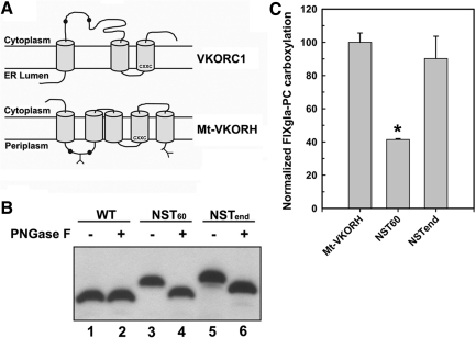 FIG. 6.