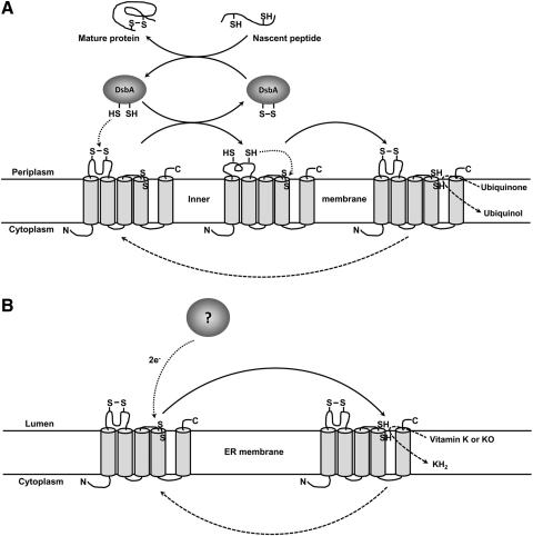 FIG. 8.