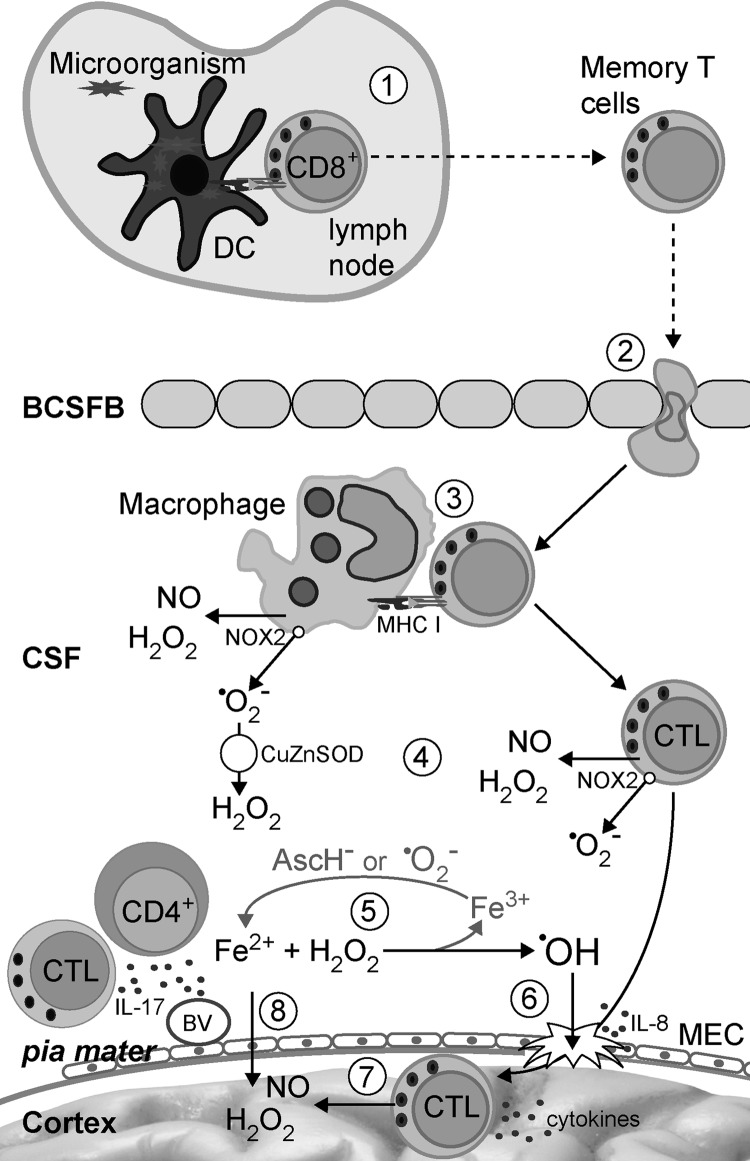 FIG. 11.