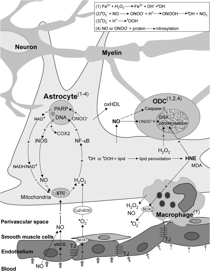 FIG. 6.