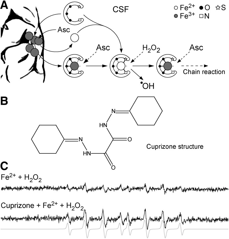 FIG. 17.